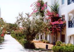 evdokia apartments, crete, greece